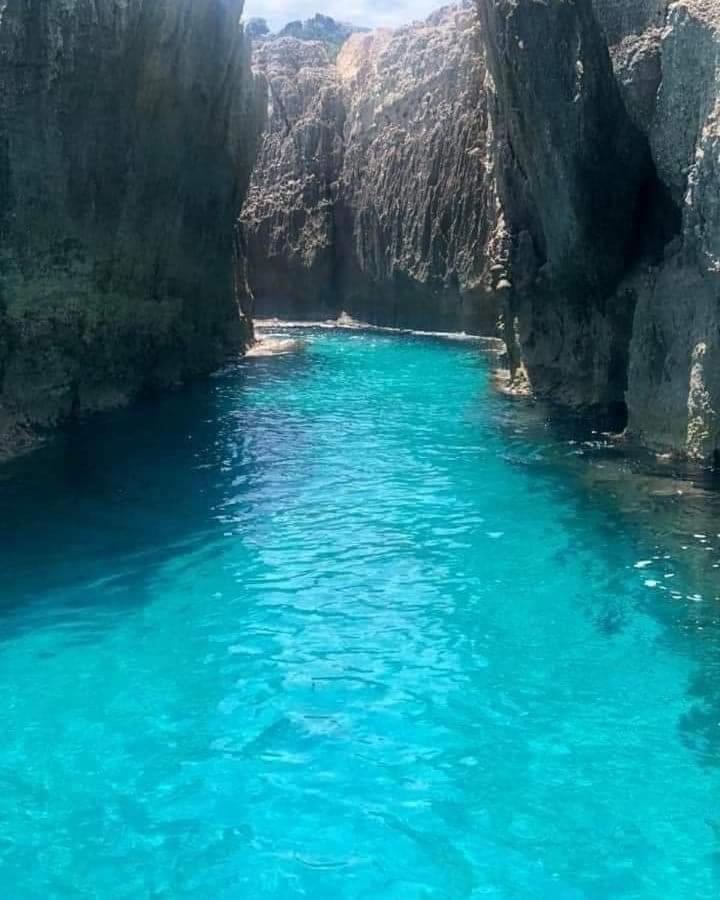 Loiacono 2 * Caria