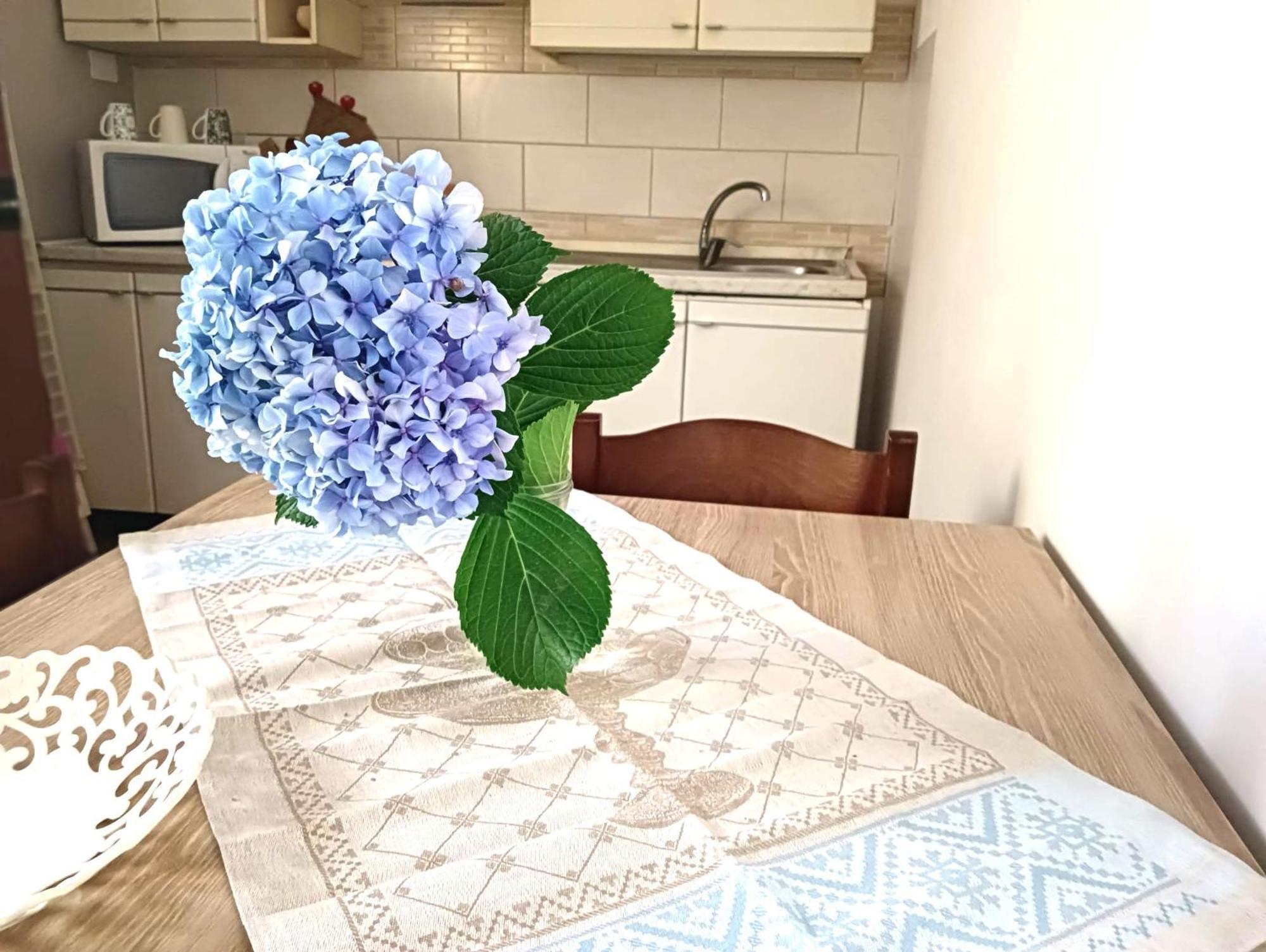 Apartment Loiacono 2 *