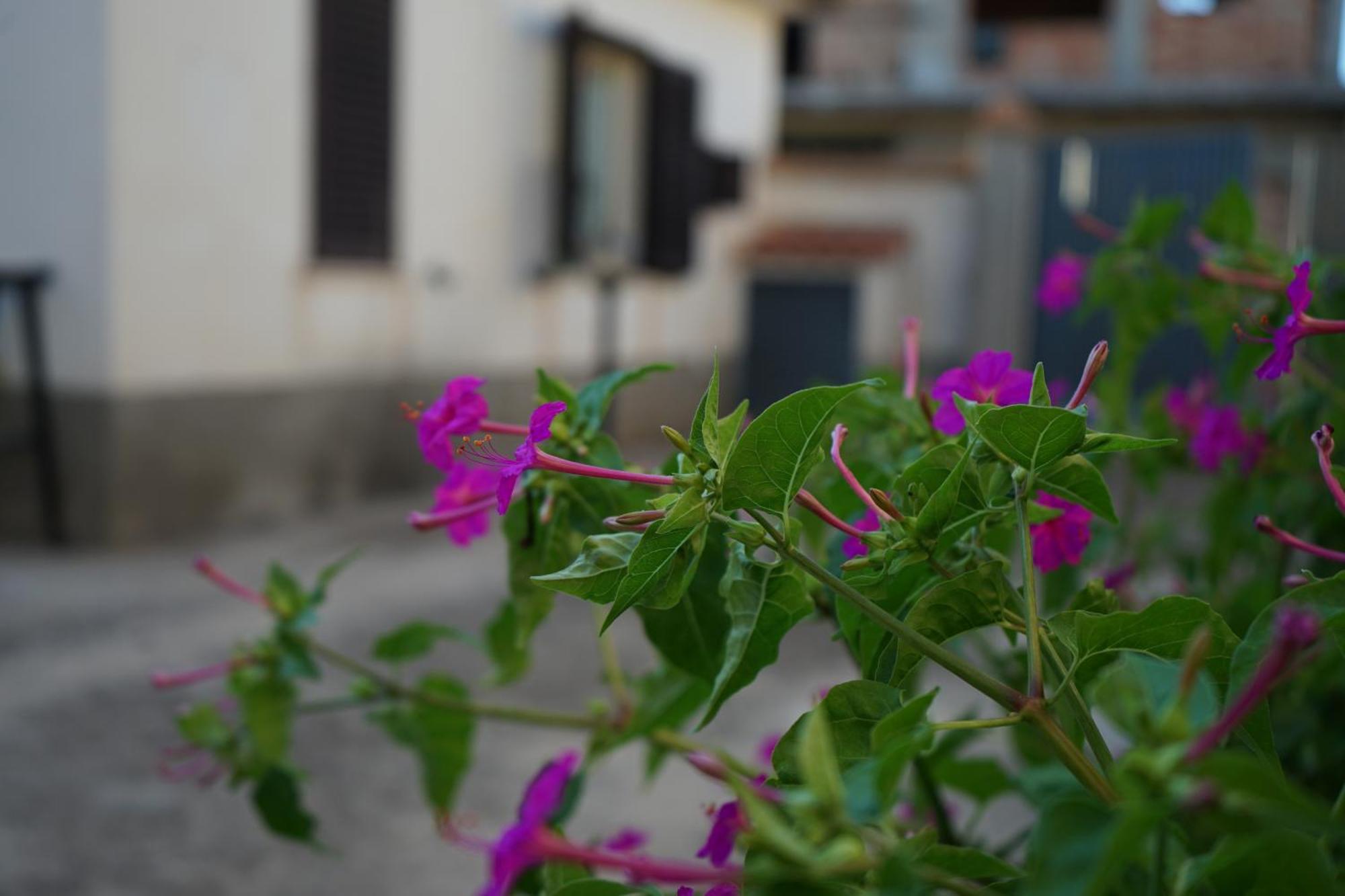 Apartment Loiacono 2